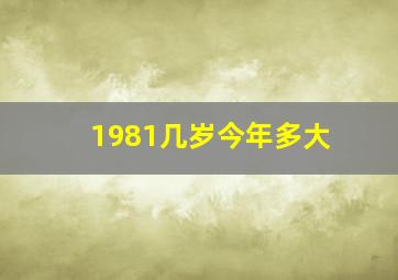 1981几岁今年多大