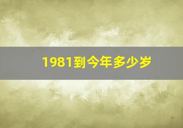 1981到今年多少岁