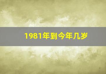 1981年到今年几岁