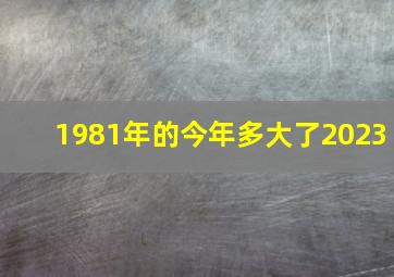 1981年的今年多大了2023