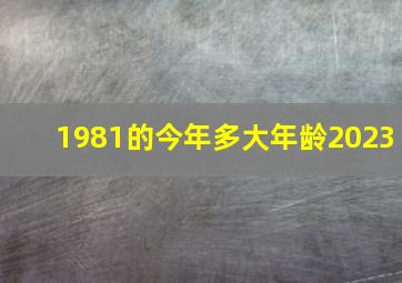 1981的今年多大年龄2023