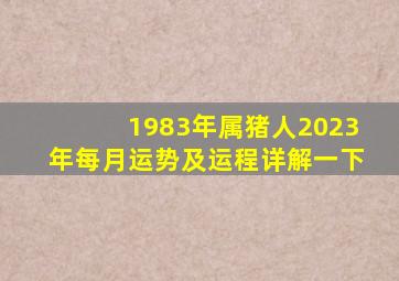 1983年属猪人2023年每月运势及运程详解一下