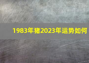 1983年猪2023年运势如何