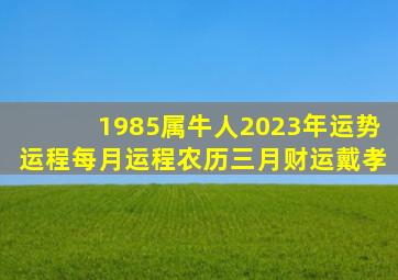 1985属牛人2023年运势运程每月运程农历三月财运戴孝