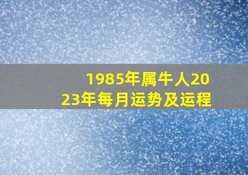 1985年属牛人2023年每月运势及运程