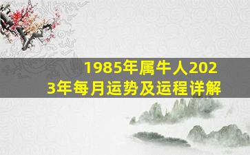 1985年属牛人2023年每月运势及运程详解