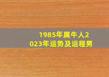 1985年属牛人2023年运势及运程男