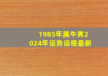 1985年属牛男2024年运势运程最新