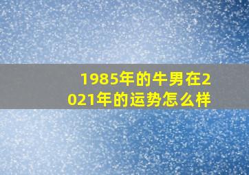 1985年的牛男在2021年的运势怎么样