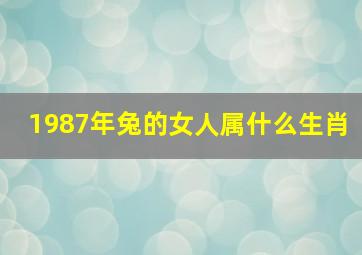 1987年兔的女人属什么生肖