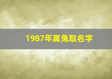 1987年属兔取名字