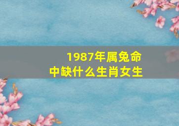 1987年属兔命中缺什么生肖女生