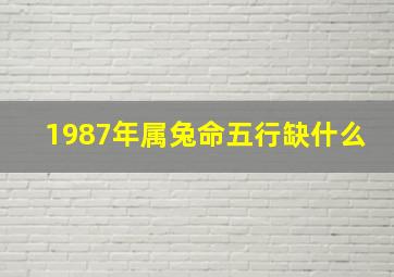 1987年属兔命五行缺什么