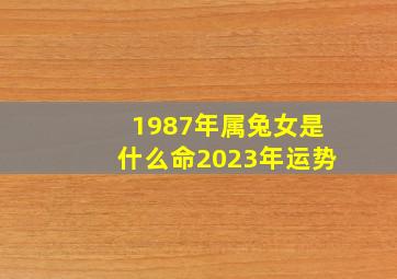 1987年属兔女是什么命2023年运势