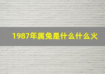 1987年属兔是什么什么火