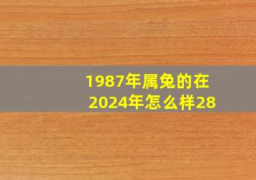 1987年属兔的在2024年怎么样28