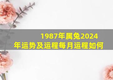 1987年属兔2024年运势及运程每月运程如何