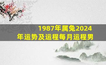 1987年属兔2024年运势及运程每月运程男