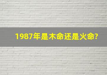 1987年是木命还是火命?