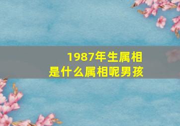 1987年生属相是什么属相呢男孩