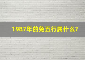 1987年的兔五行属什么?