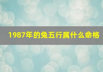 1987年的兔五行属什么命格