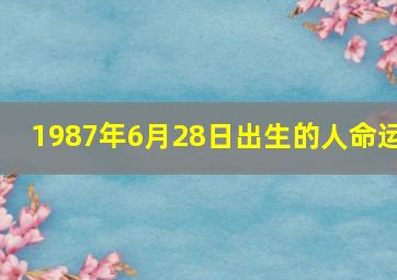 1987年6月28日出生的人命运