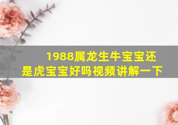 1988属龙生牛宝宝还是虎宝宝好吗视频讲解一下