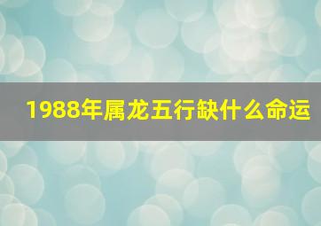 1988年属龙五行缺什么命运