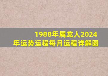 1988年属龙人2024年运势运程每月运程详解图