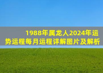 1988年属龙人2024年运势运程每月运程详解图片及解析