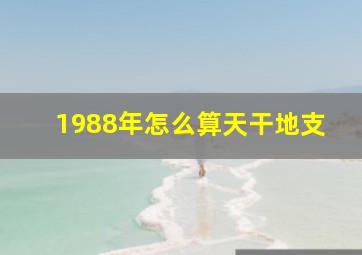 1988年怎么算天干地支