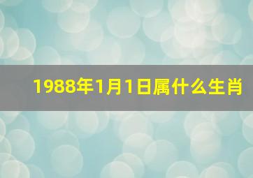 1988年1月1日属什么生肖