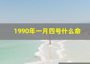 1990年一月四号什么命