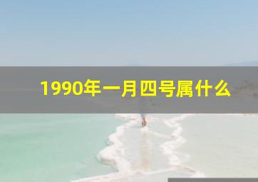 1990年一月四号属什么