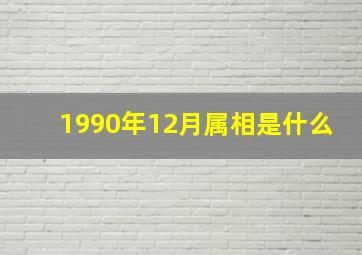 1990年12月属相是什么