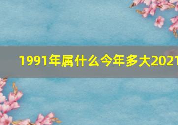 1991年属什么今年多大2021