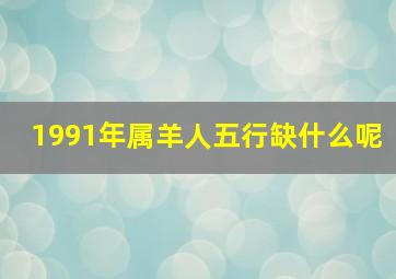 1991年属羊人五行缺什么呢