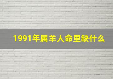 1991年属羊人命里缺什么