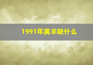 1991年属羊缺什么