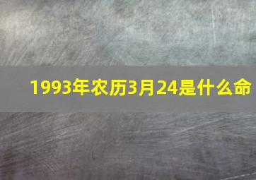 1993年农历3月24是什么命