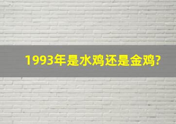 1993年是水鸡还是金鸡?