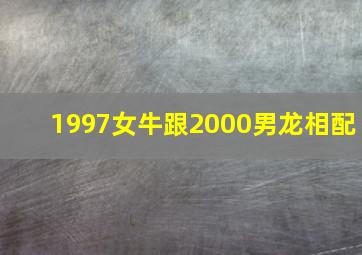 1997女牛跟2000男龙相配