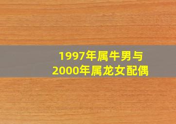 1997年属牛男与2000年属龙女配偶