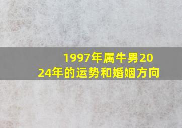 1997年属牛男2024年的运势和婚姻方向