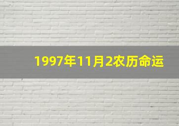 1997年11月2农历命运