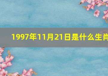 1997年11月21日是什么生肖