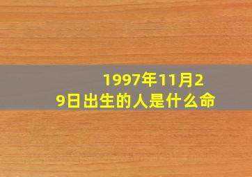 1997年11月29日出生的人是什么命