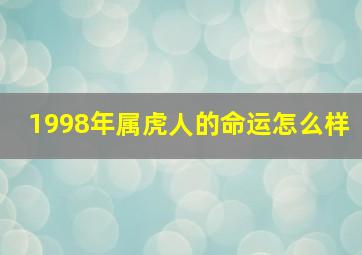 1998年属虎人的命运怎么样