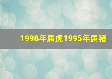 1998年属虎1995年属猪